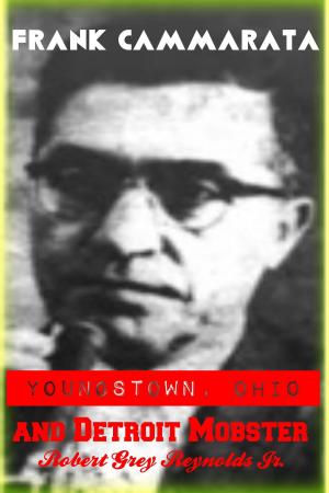 Cover of the book Frank Cammarata Youngstown, Ohio and Detroit Mobster by Christine Grey