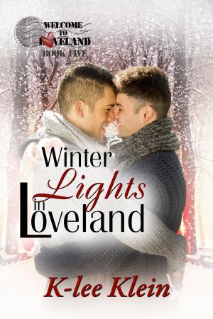 Book cover of Winter Lights in Loveland