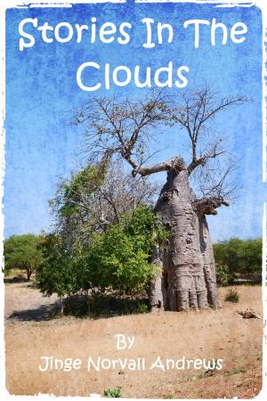 Cover of the book Stories In The Clouds by Jerry Holliday
