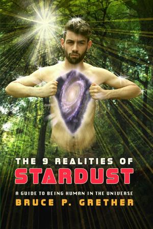 Book cover of The 9 Realities of Stardust: A Guide to Being Human in the Universe
