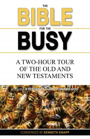 Cover of the book The Bible for the Busy: A Two-Hour Tour of the Old and New Testaments by Jamie Greening