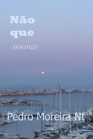 bigCover of the book Não que: poemas by 
