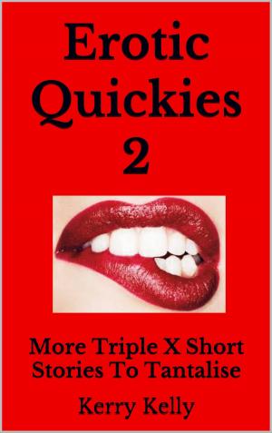 Cover of Erotic Quickies 2: More Triple X Stories to Tantalise