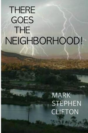 Cover of the book There Goes the Neighborhood by Susan Salguero