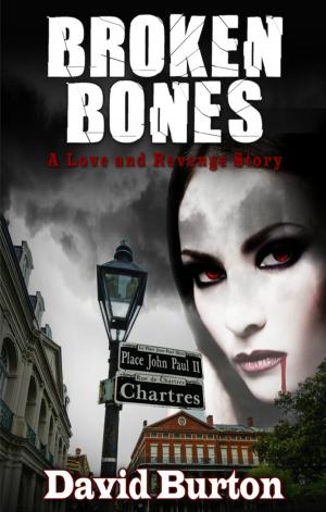 Cover of the book Broken Bones: A Love and Revenge Story by Marlene Mitchell