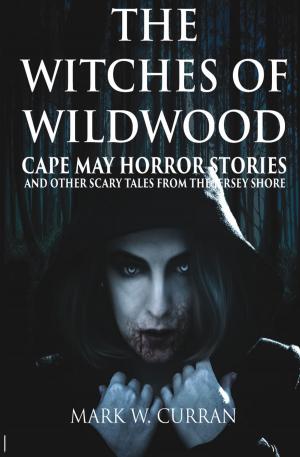 Book cover of The Witches of Wildwood: Cape May Horror Stories and Other Scary Tales from the Jersey Shore
