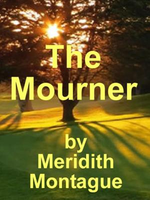 Book cover of The Mourner: By Meridith Montague