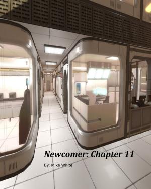 Book cover of Newcomer: Chapter 11