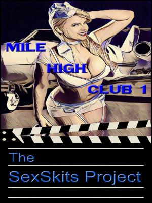 Cover of the book Mile High Club 1 by The SexSkits Project