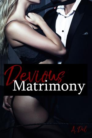 Cover of the book Devious Matrimony by Christine d'Abo