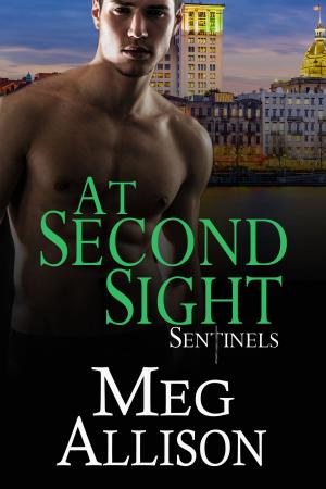 Cover of the book At Second Sight by Barbara Avon