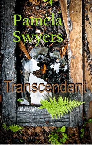 Book cover of Transcendant