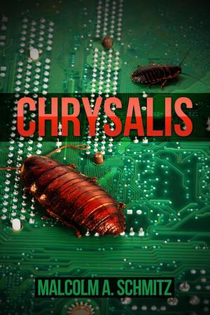 Cover of the book Chrysalis by Stephen Andrew Salamon