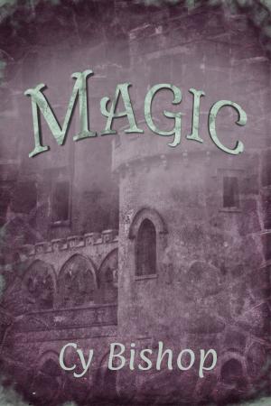 Book cover of The Endonshan Chronicles Book 4: Magic