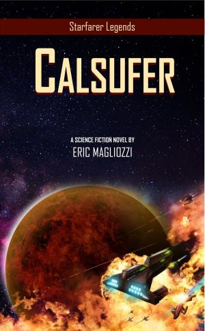 Book cover of Calsufer