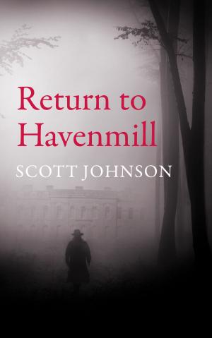 Cover of the book Return to Havenmill by Brian D. Anderson