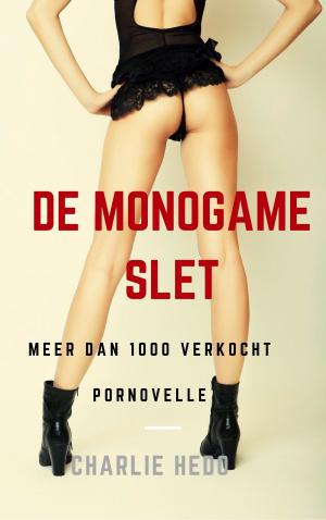 Cover of the book De Monogame Slet by Charlie Hedo