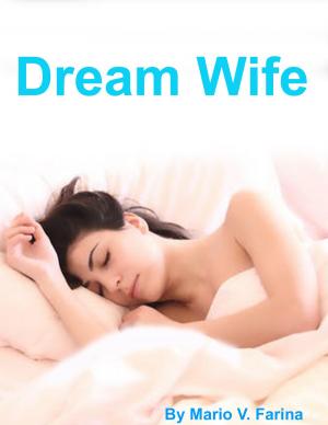 Book cover of Dream Wife
