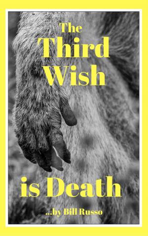 Cover of the book The Third Wish is Death by Bill Russo