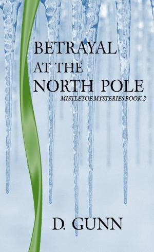 Cover of the book Betrayal At The North Pole (Mistletoe Mysteries Book 2) by Ray Derby