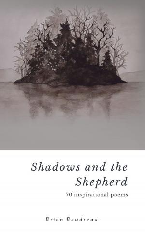 Cover of the book Shadows and the Shepherd by Antonella Santarelli