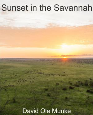 Cover of the book Sunset in the Savannah by E. Patrick Dorris