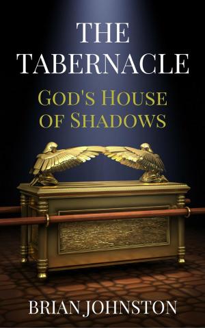 Book cover of The Tabernacle - God's House of Shadows