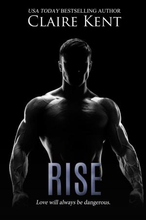 Cover of the book Rise by Noelle Adams