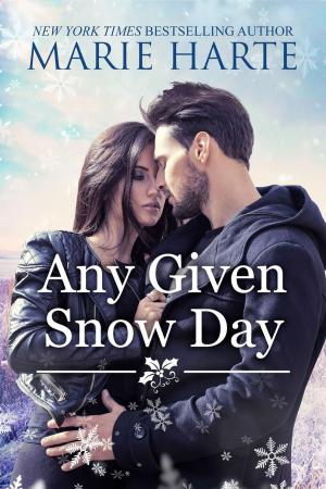 Cover of the book Any Given Snow Day by Ginger Scott