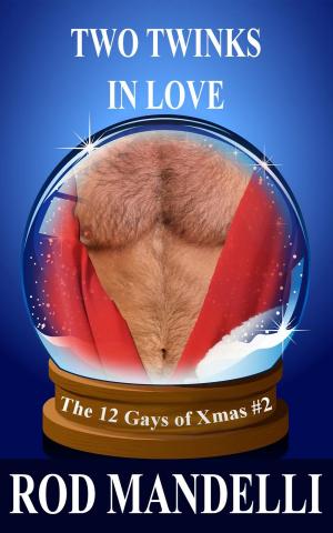 Cover of the book Two Twinks In Love by Gail McFarland