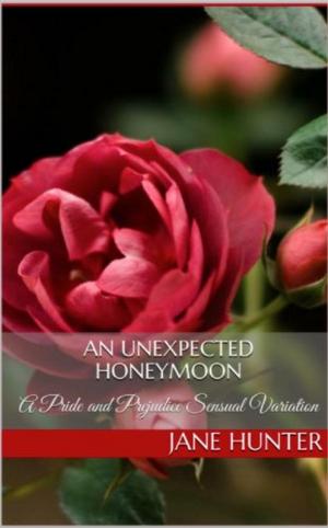 Cover of the book An Unexpected Honeymoon: A Pride and Prejudice Sensual Intimate by Avis McGinnis
