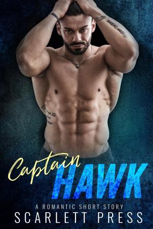 Cover of the book Captain Hawk by Anna DelRay, Scarlett Press