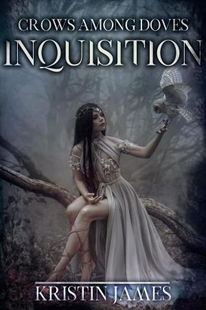 Cover of the book An Inquisition by S.K. Levy
