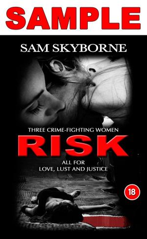 Cover of the book Risk: Three Crime-fighting Women RISK All for Love, Lust and Justice - Sample by Bryan Radzin