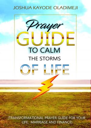 Book cover of Prayer Guide To Calm The Storms Of Life
