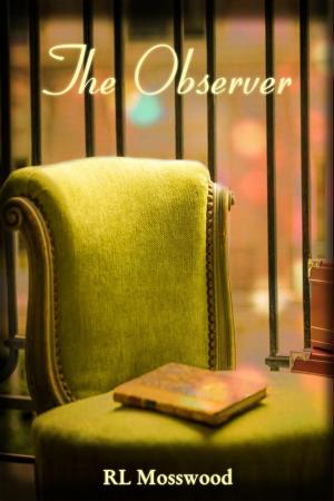 Cover of the book The Observer by Julie Huleux