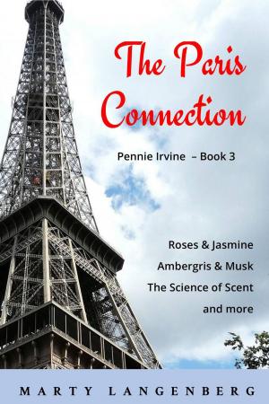 Book cover of The Paris Connection