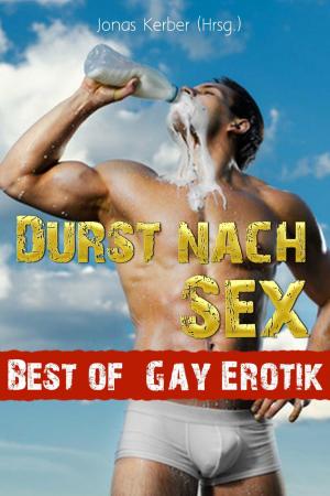Book cover of Durst nach Sex - Best of Gay Erotik!