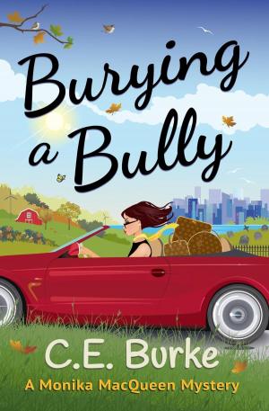 Cover of the book Burying a Bully by Steve Turnbull