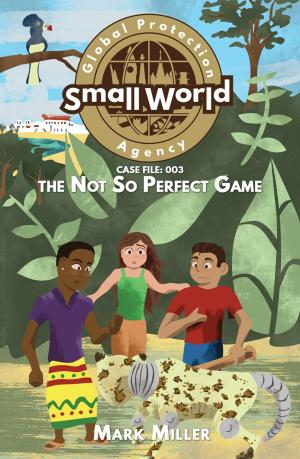 Cover of the book Not So Perfect Game by Mark Miller