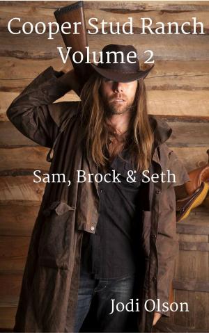 Cover of the book Sam, Brock & Seth by Erin Satie