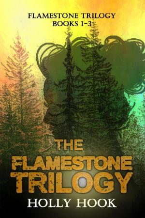 Cover of The Flamestone Trilogy Books 1-3