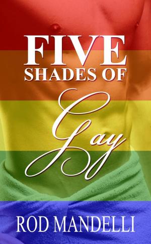 Cover of the book Five Shades of Gay by Abby Crofton