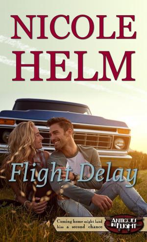 Book cover of Flight Delay