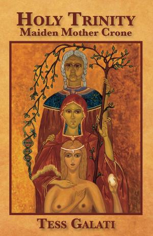 Cover of the book Holy Trinity: Maiden, Mother, Crone by Michelle de Villiers