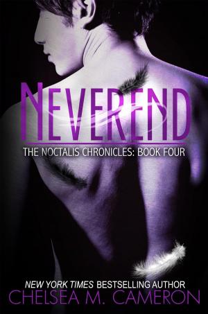 Cover of the book Neverend by R.G Rankine