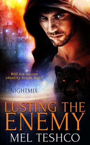 Cover of the book Lusting the Enemy by Mel Teshco