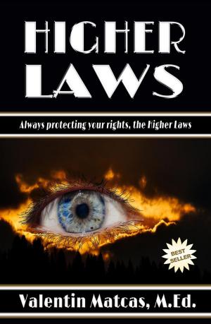 bigCover of the book Higher Laws by 