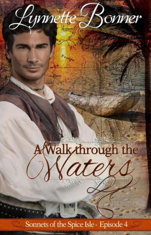 Book cover of A Walk through the Waters