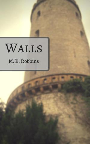 Cover of the book Walls by Carmen Saptouw